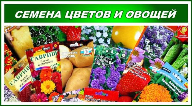 Купить Семена В Перми Интернет Магазин